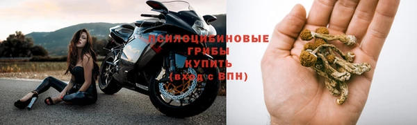 дживик Арсеньев