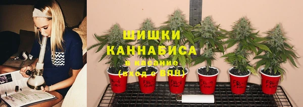 дживик Арсеньев